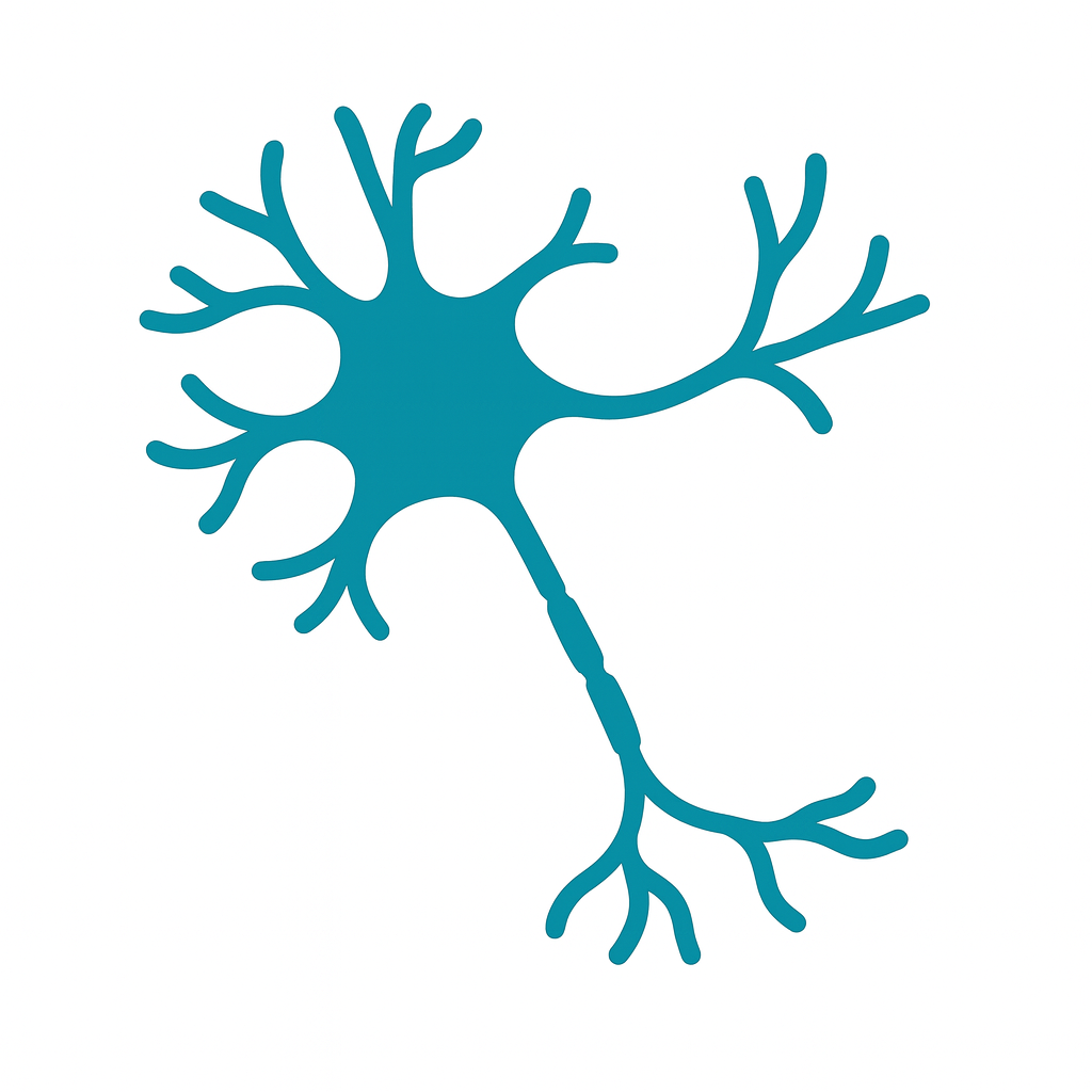 SFN Network logo